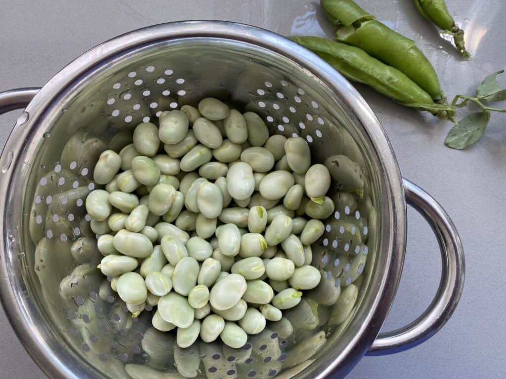 Remove the beans from the outer pods and give them a rinse